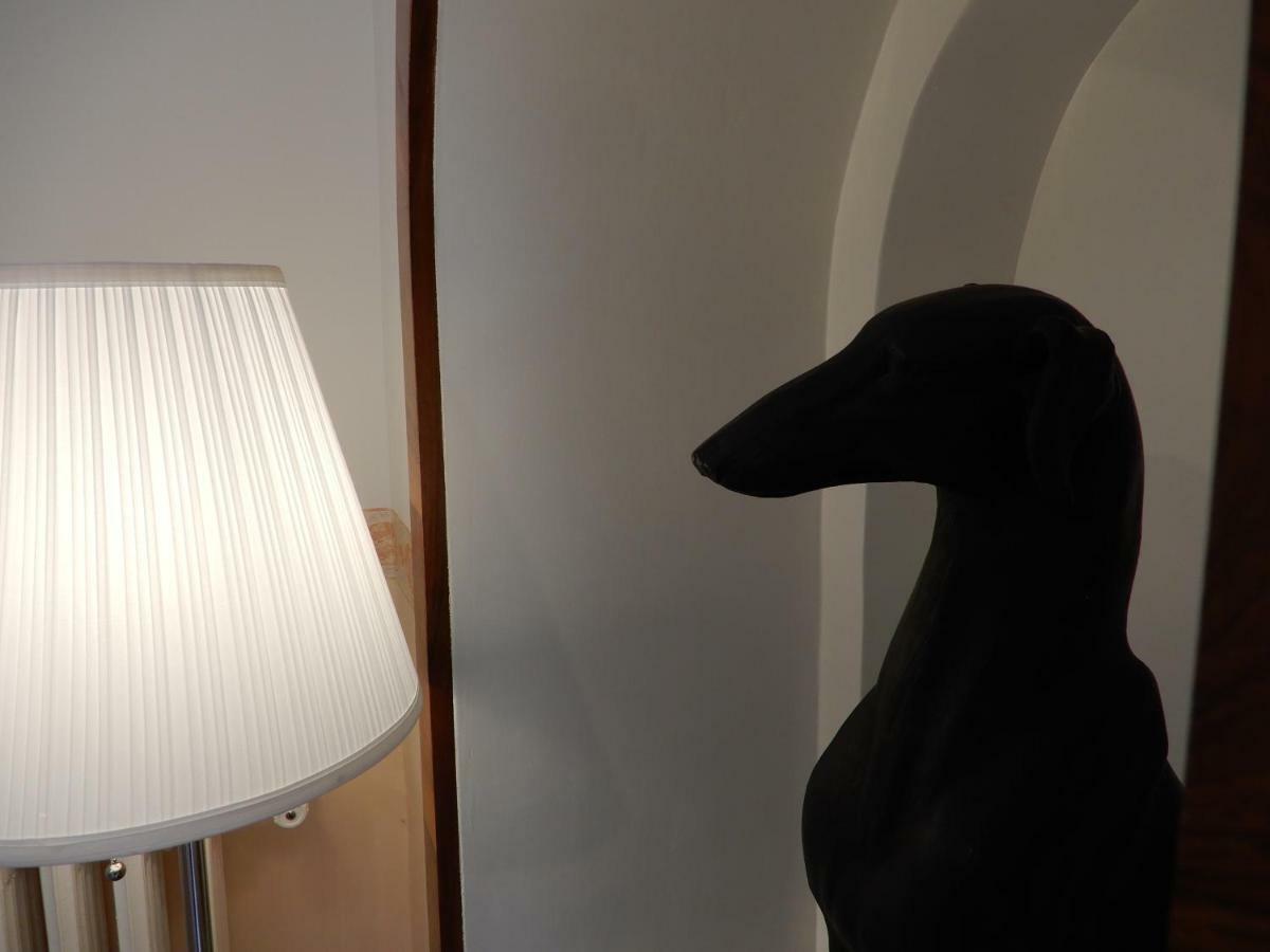 Luciano And Son Bed & Breakfast Campobasso Exterior photo